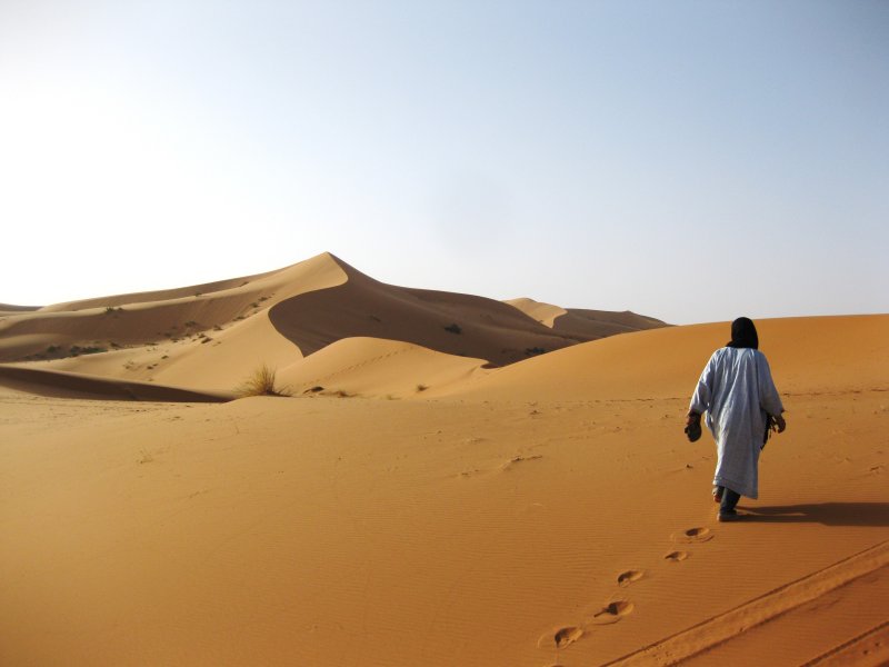 deserto del sahara copertina